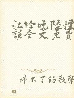 江吟晚陆怀璟小说全文免费阅读全文