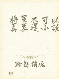 将军不可以魏云真慕迟小说笔趣阁