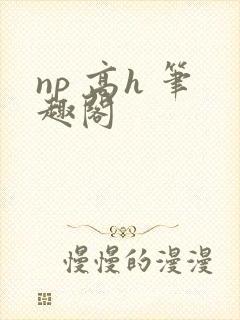 np 高h 笔趣阁