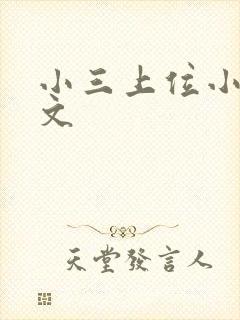 小三上位小说全文封面