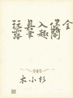 玩具入侵金银花露笔趣阁