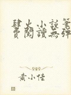 肆火小说笔趣免费阅读无弹窗封面