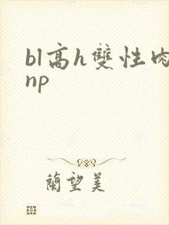 bl高h双性肉np