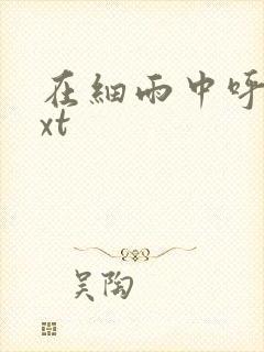 在细雨中呼喊txt