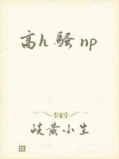 高h 骚 np