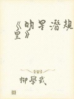 《明星潜规则之皇》封面