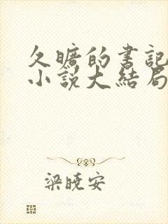 久旷的书记夫人小说大结局封面