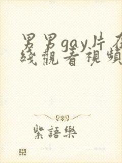 男男gay片在线观看视频