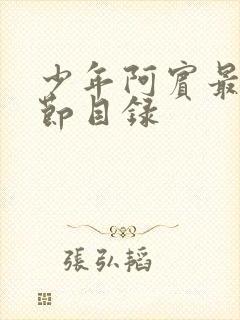 少年阿宾最新章节目录