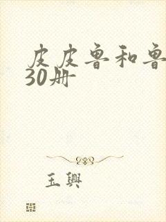 皮皮鲁和鲁西西30册