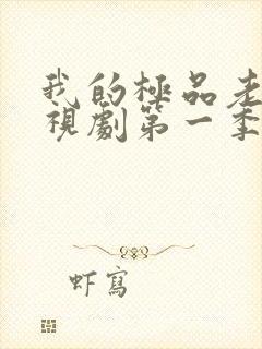 我的极品老婆电视剧第一季免费观看