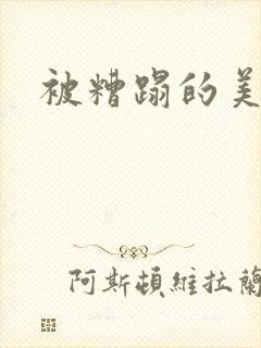 被糟蹋的美人h封面