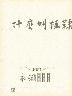 什么叫植鞣牛皮