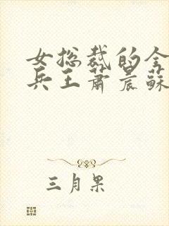 女总裁的全能型兵王萧晨苏晴