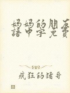 妈妈的朋友6韩语中字免费观看封面