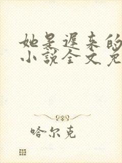 她是迟来的心动小说全文免费阅读