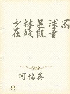 少林足球国语版在线观看封面