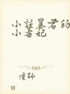 小说暴君的替嫁小毒妃