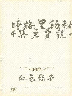 暗格里的秘密24集免费观看