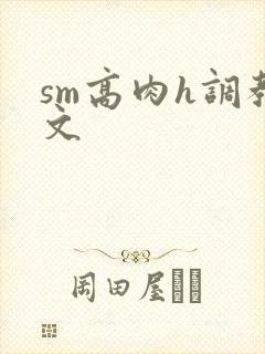 sm高肉h调教文