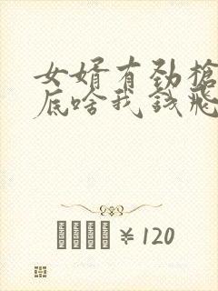 女婿有劲枪枪到底啥我钱飞了