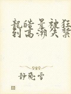 龙皓晨被狂c躁到高潮失禁