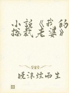 小说《我的冷艳总裁老婆》