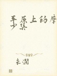 平原上的摩西多少集