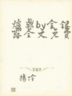 炉鼎by金银花露全文免费阅读笔趣阁