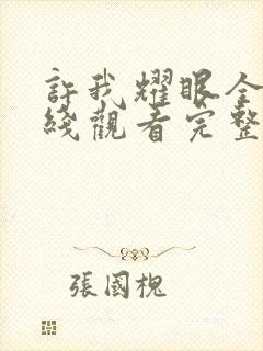 许我耀眼全集在线观看完整版免费