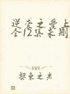 逆袭之爱上情敌全12集未删减