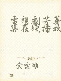 电视剧芳华40集在线播放免费观看封面