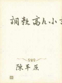 调教高h小说