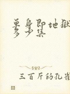 单身即地狱5有多少集