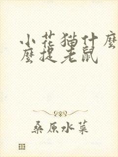 小花猫什么在什么捉老鼠封面