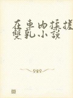 在车内揉搓她的双乳小说