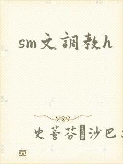 sm文调教h