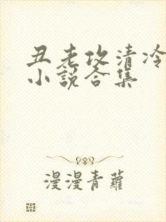 丑老攻清冷美人小说合集