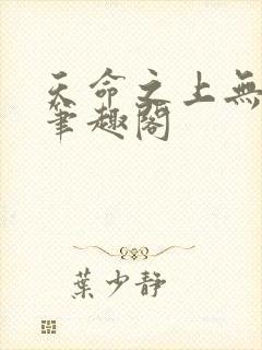 天命之上无弹窗笔趣阁