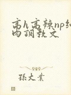高h高辣np纯肉调教文