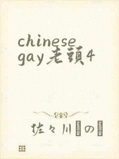 chinesegay老头4