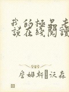 我的极品老婆小说在线阅读