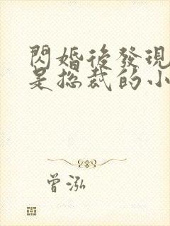 闪婚后发现老公是总裁的小说