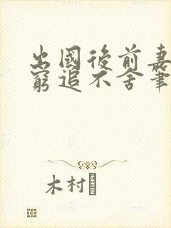 出国后前妻对我穷追不舍笔趣阁封面