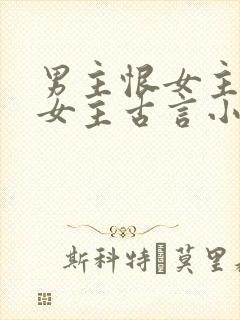 男主恨女主报复女主古言小说