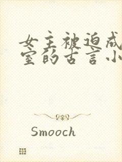 女主被迫成为妾室的古言小说