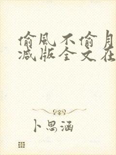 偷风不偷月无删减版全文在线阅读