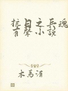 抗日之兵魂传说有声小说封面