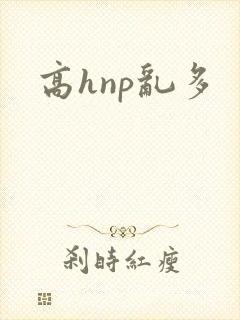 高hnp乱多封面