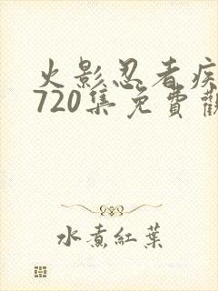 火影忍者疾风传720集免费观看全集封面